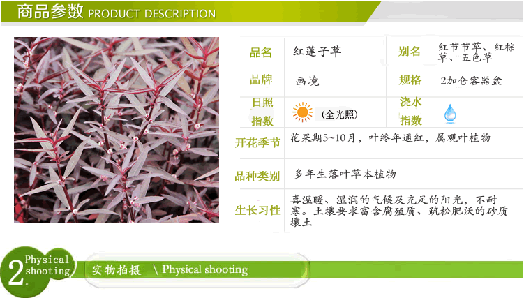 太阳GG·(中国区)官方网站