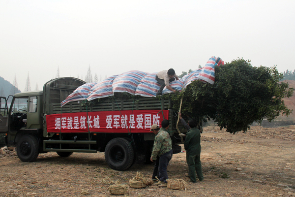 太阳GG·(中国区)官方网站