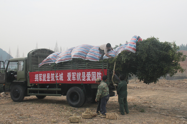 太阳GG·(中国区)官方网站