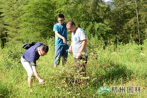 太阳GG·(中国区)官方网站